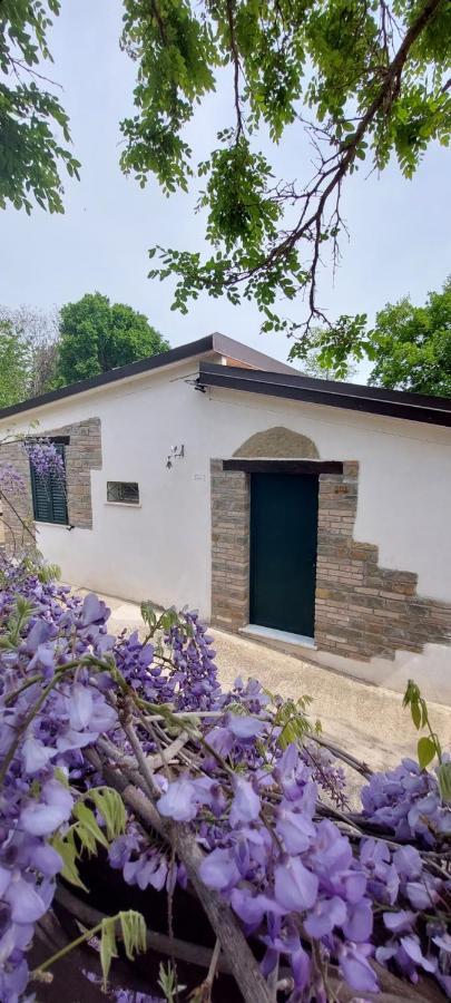 Agriturismo Terranova Pisticci Eksteriør billede