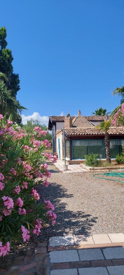 Agriturismo Terranova Pisticci Eksteriør billede